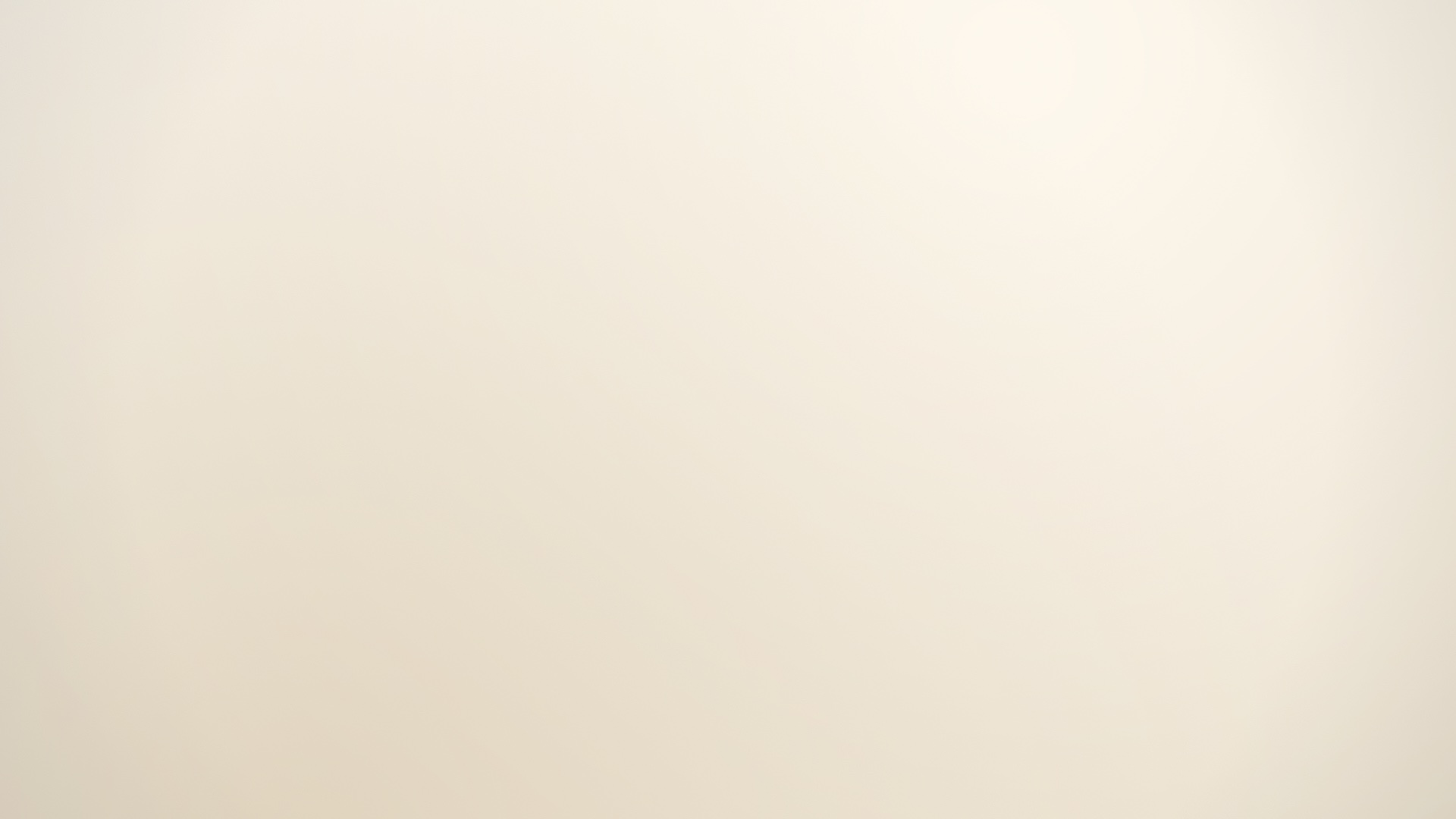 Placeholder study — warm timber tones